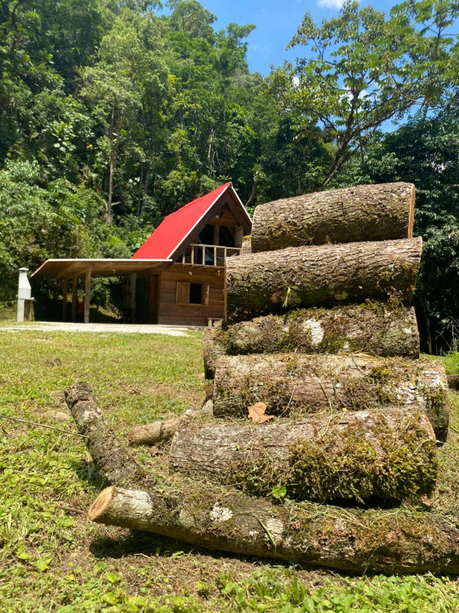 Chale Em Meio A Natureza! Guabiruba Zewnętrze zdjęcie